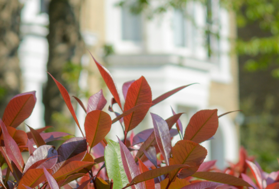 Preparing Your Home for Winter - Antony Roberts